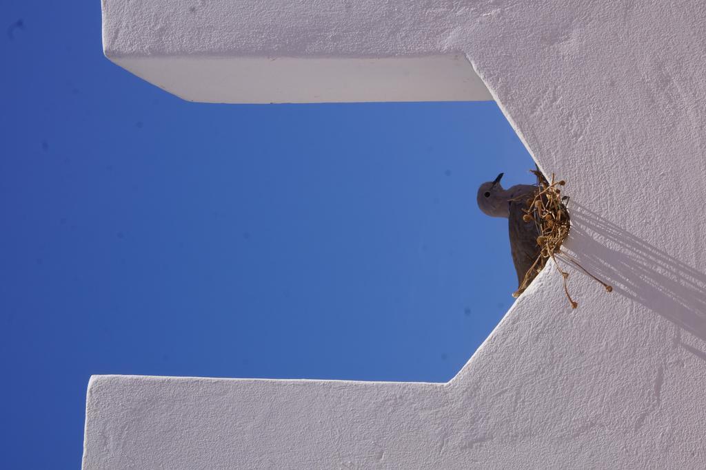 Riad Ksar El Jadida Maroc Exterior photo